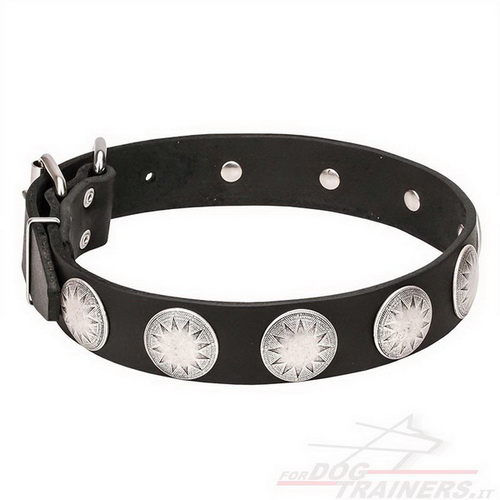 Collare "Maya Indians" con borchie cromate per cane