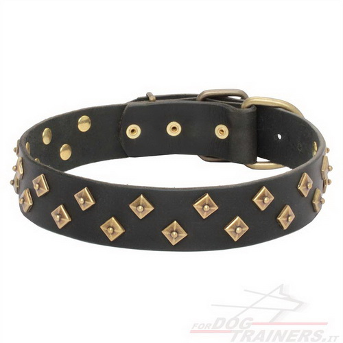 Collare con borchie in ottone per cane