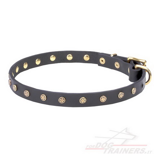 Collare stretto con piastre di ottone a stellina per cane