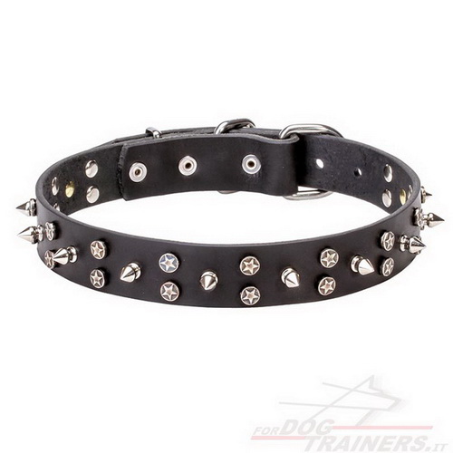 Collare "Star-studded Sky"con borchie cromate per cane Collare "Star-studded Sky"con borchie cromate per cane