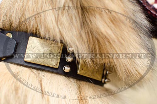 Collare in pelle con punte nichelate per Tervueren