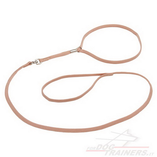 Guinzaglio-collare combinato in nylon da ring per cane