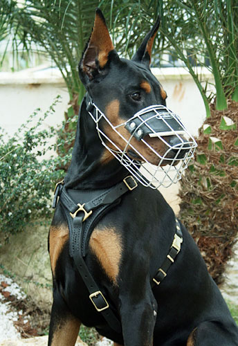 T0, nero Museruola per cani in filo metallico resistente Malinois e altri cani per Doberman Champion