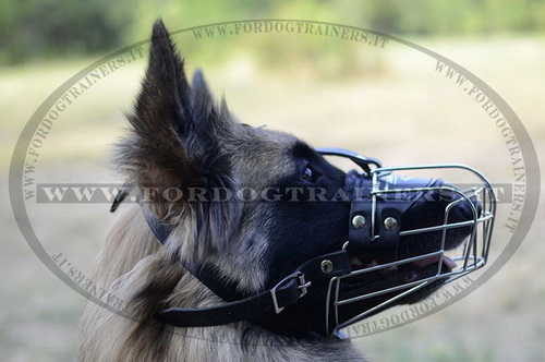 Museruola nichelata a cestello per Tervueren