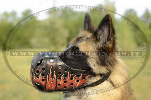 Museruola in cuoio con disegno di fuoco per Tervueren