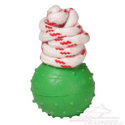 Palla da addestramento con superficie a puntini