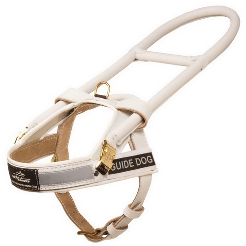 Pettorina in cuoio bianco per cane guida per non vedenti