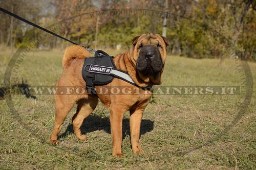 Pettorina in nylon con striscia rifrangente per Shar Pei