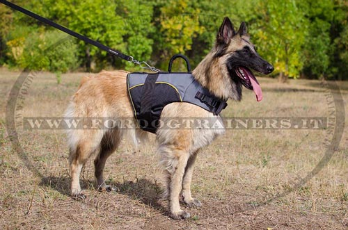 Pettorina in nylon chiusa convalescenza per Tervueren