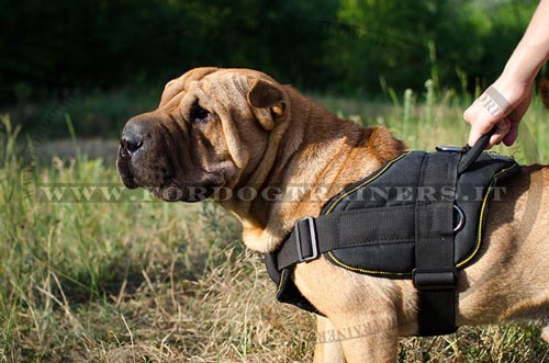Pettorina multi-funzionale di nylon per Shar Pei