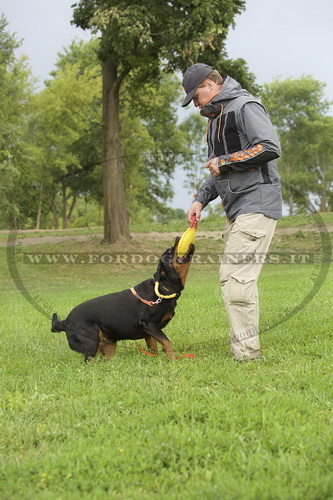 Riporto da mordere rotondo in tela francese per Rottweiler