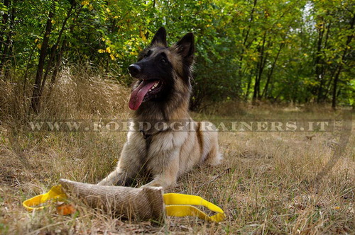 Riporto da mordere in juta per Tervueren