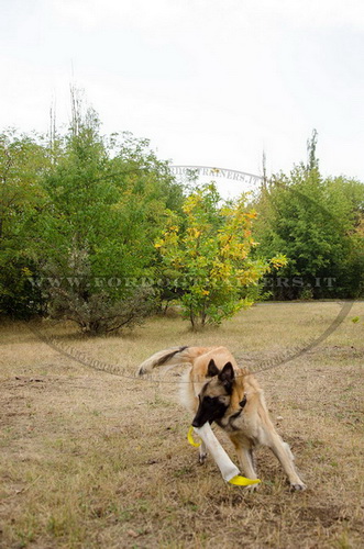 Riporto da mordere in manica antincendio per Tervueren