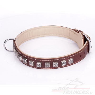 Collare originale con decorazioni per cane