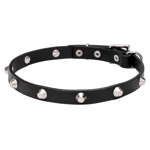 Collare con borchie cromate a piramide per cane