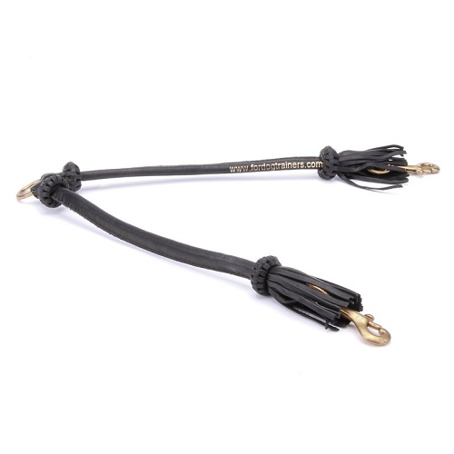 Accoppiacani in pelle per cani, 10 mm