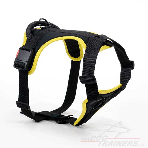 Pettorina in nylon color nero «WALKING DAY»