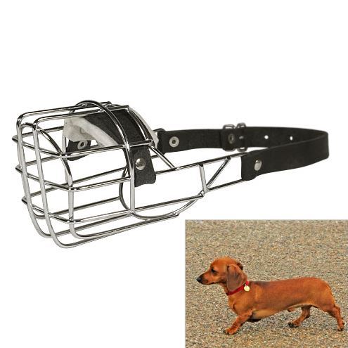 Museruola a cestello in filo metallico nichelato per Bassotto