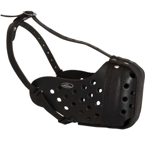 Museruola in cuoio "Dondi plus" per cani grandi