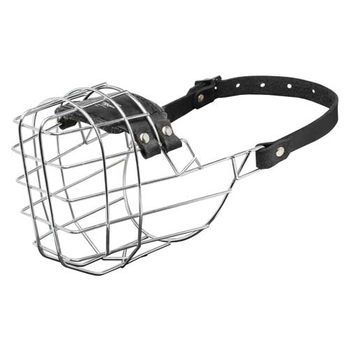 Museruola metallica a cestello per cani di varie razze e taglie