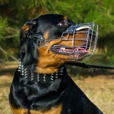 Museruola a cestello in filo metallico nichelato per Rottweiler