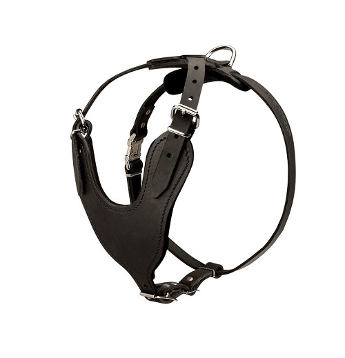 Pettorina in cuoio da lavoro per cane