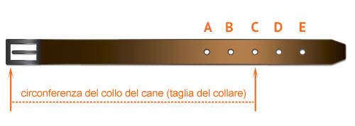 taglia-collare-cuoio-nylon.jpg