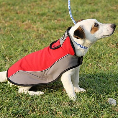 Cappottino per jack russell terrier per tutte le condizioni atmosferiche