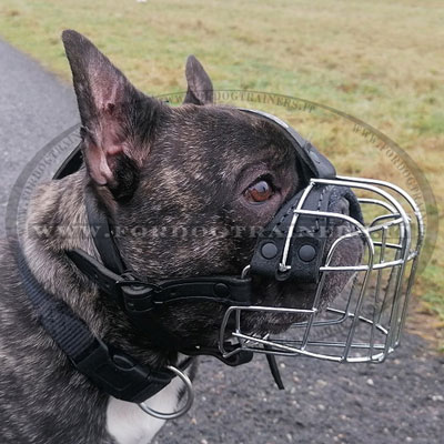 Museruola classica a cestello di acciaio per cani