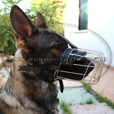 Classica museruola a cestello per cane per tutte le occasioni