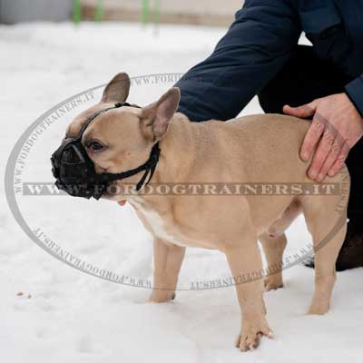 Museruola universale per French bulldog