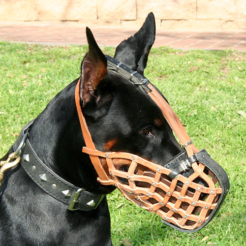 Museruola speciale per cani