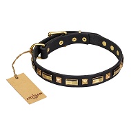 Collare in cuoio con decorazioni miste dorate per cane Collare in cuoio con decorazioni miste dorate per cane