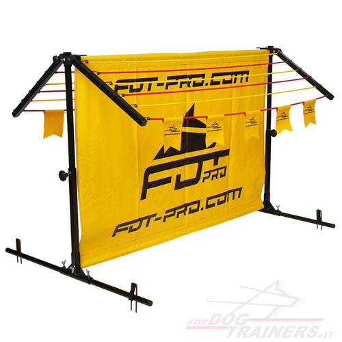 Salto di Fordogtrainers per cane