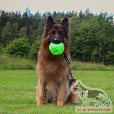 Palla gonfiata per cane grande