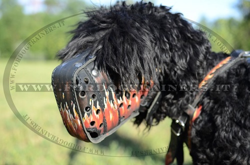 Museruola regolabile, pratica e funzionale per Terrier Nero Russo