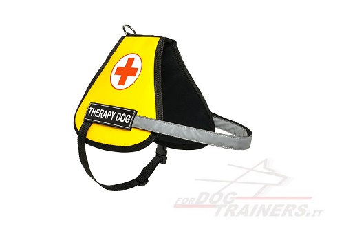 Gilet per cani di servizio speciale Service Dog