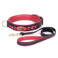 Collare con guinzaglio in vera pelle con decorazioni per cane Collare con guinzaglio in vera pelle con decorazioni per cane