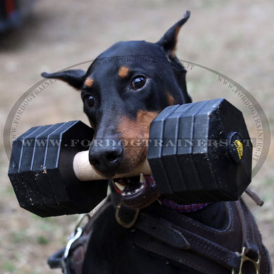 Pettorina multifunzionale in cuoio per cani