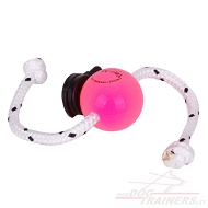 Palla magnetica "Fun-Ball" Super Soft rosa con clip nera Palla magnetica "Fun-Ball" Super Soft rosa con clip nera