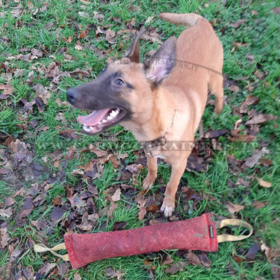 Salsicciotto in materiale resistente per divertimento con cane