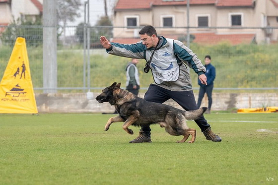 Manica per la preparazione a Schutzhund