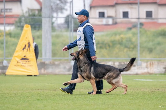 Salto per la preparazione a Schutzhund