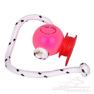 Palla magnetica "Fun-Ball" Super Soft rosa con clip rossa Palla magnetica "Fun-Ball" Super Soft rosa con clip rossa