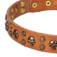 Eccellente collare con decorazioni in ottone per cane Eccellente collare con decorazioni in ottone per cane